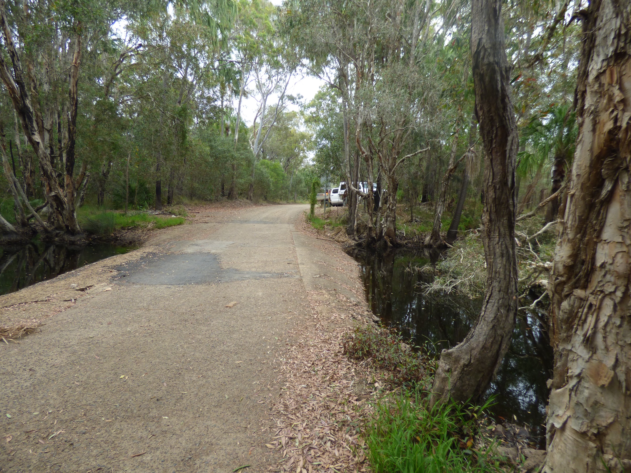 A causeway crossing a creek in a heavily forested area.