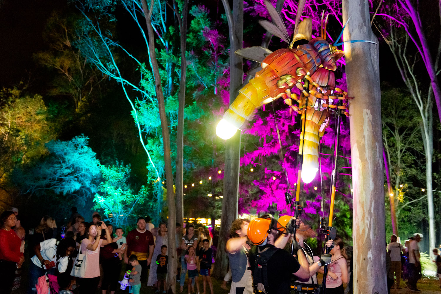 Calliope Historical Village Markets Community Development Strategy